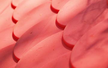 Scethrog plastic roof costs