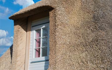 Scethrog thatch roof disadvantages