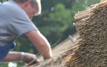 professional Scethrog thatchers