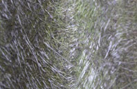 Scethrog fibreglass roof work